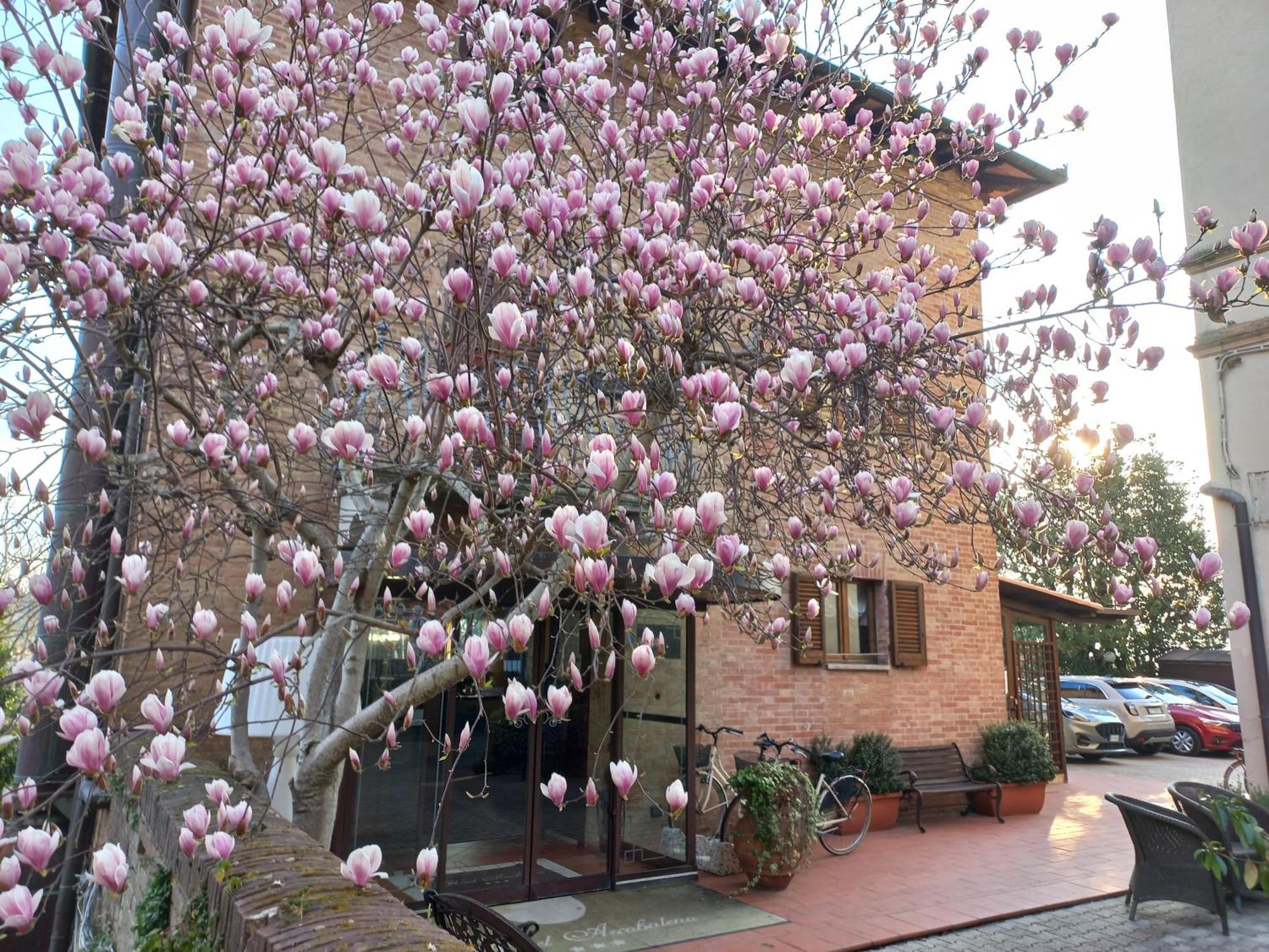 Hotel Arcobaleno Siena Bagian luar foto